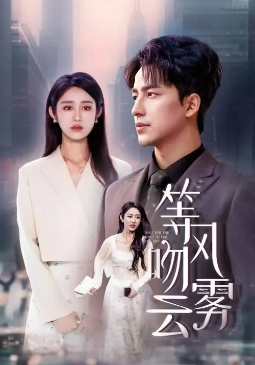 热播电视剧雾港来信全集手机免费在线观看